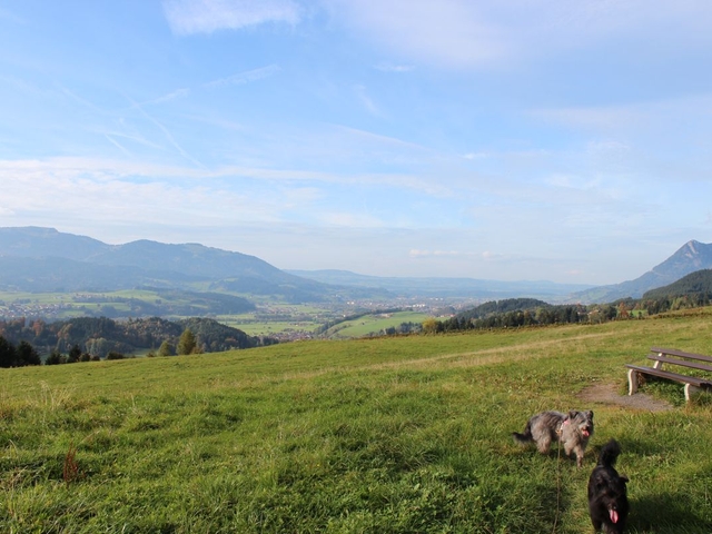 Im Allgäu 2017 (6)